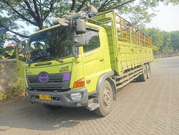 Armada truk Tronton dropside PT Efata Rahema Rodaniaga